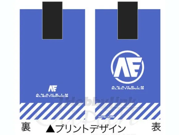 Anaheim Carabiner Case