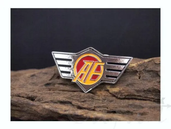 Anaheim School Pin