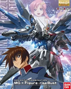 Dramatic Combination: MG 1/100 Freedom Gundam Ver.2.0 & Kira Yamato