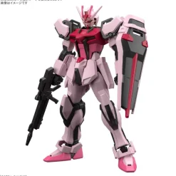1/144 Entry Grade Strike Rouge