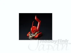 Gundam Ace 2011/01 w/Sinanju Head Display