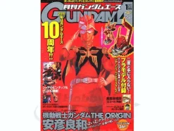 Gundam Ace 2011/01 w/Sinanju Head Display