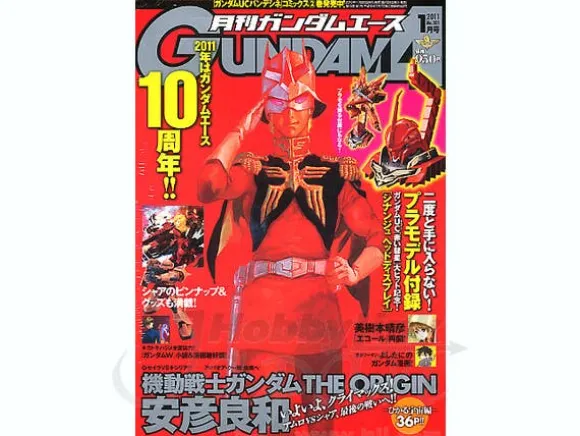 Gundam Ace 2011/01 w/Sinanju Head Display