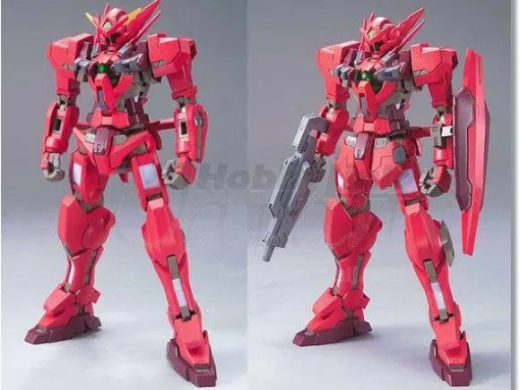 1/100 Gundam Astraea Type-F