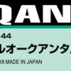 1/144 Gundam Decal No.117 RG GNT-0000 00 Qan[T]