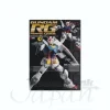 Gundam RG Perfect Guide