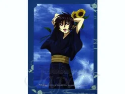 Gundam Seed Color Print: A Shin