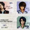 Gundam Seed Destiny Bromide Card Set