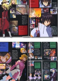 Gundam Seed Destiny: Destiny Edition