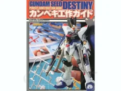 Gundam Seed Destiny Modeling Guide