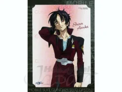 Gundam Seed Portrait: A Shin
