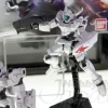 1/144 HG Genoace Custom