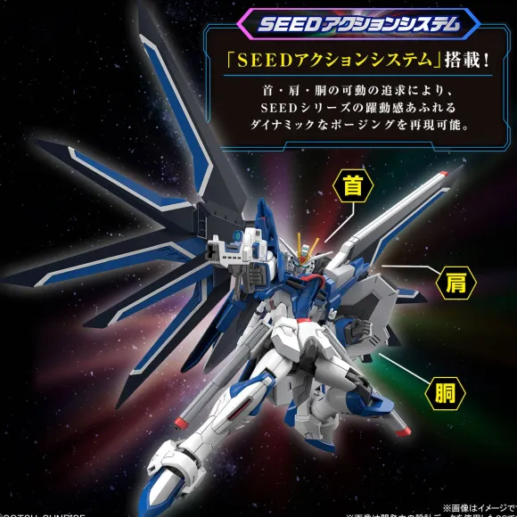 1/144 HG Rising Freedom Gundam