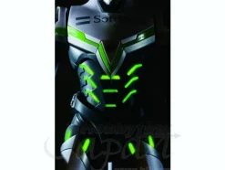 12-Inch Perfect Model Wild Tiger