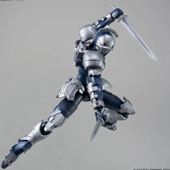 30MF Rosan Swordman