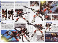 1/100 MG Buster Gundam