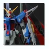 1/100 MG Destiny Gundam w/Special Clear Armor Parts