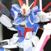 1/100 MG Force Impulse Gundam