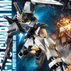 1/100 MG Gundam Mk-II Ver. 2.0 AEUG