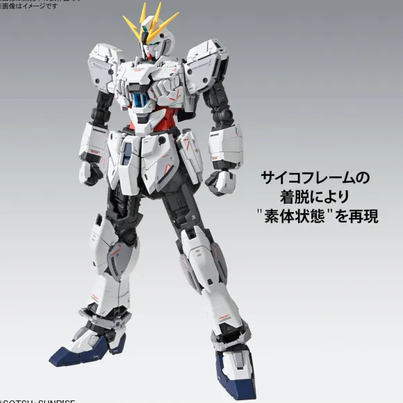 1/100 MG Narrative Gundam C-Packs Ver. Ka