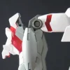 1/100 MG Unicorn Gundam HD Color + MS Cage