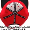 Mobile Suit Gundam: Char's Custom Flat Visor