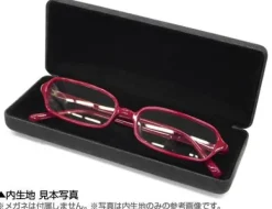 Mobile Suit Z Gundam: Anaheim Electronics Glasses Case