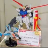 MSIA Aile Strike Gundam