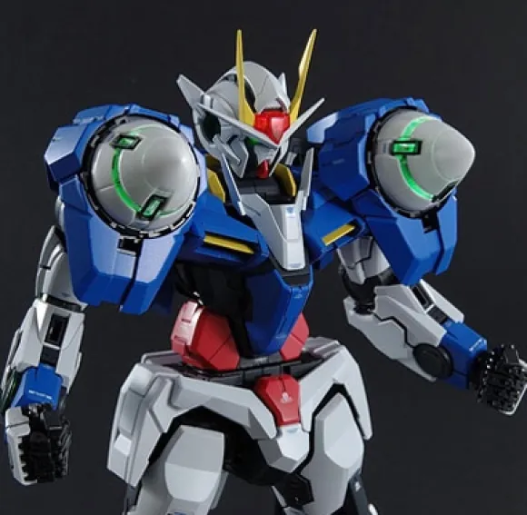1/60 Perfect Grade 00 Raiser