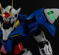 1/60 Perfect Grade 00 Raiser