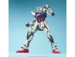 1/60 Perfect Grade Strike Gundam