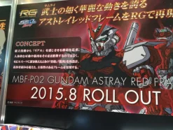 1/144 RG Gundam Astray Red Frame