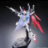 1/144 RG ZGMF-X42S Destiny Gundam