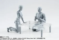 S.H.Figuarts Body-Kun Rihito Takarai Edition DX SET Gray Color Ver.